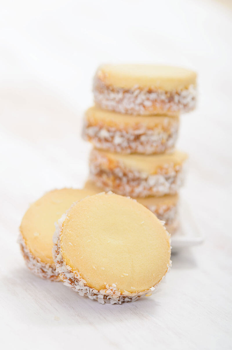 ALFAJOR GRANDE 100GR. DISPLAY X12U.